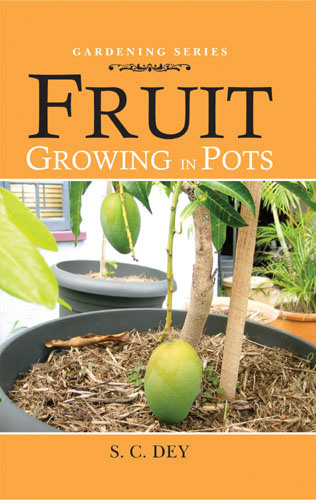 Fruit Growing In Pots