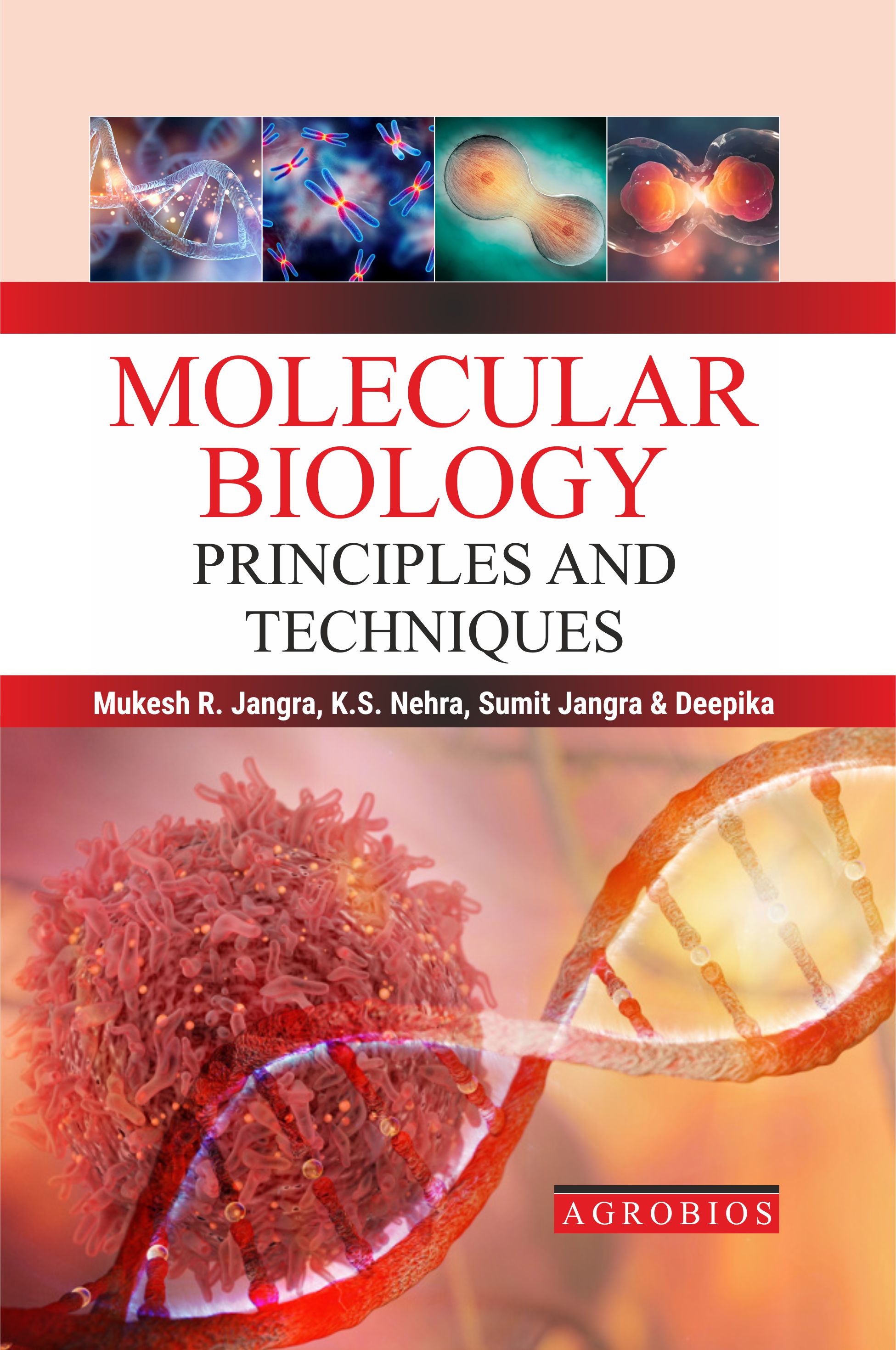 Molecular Biology: Principles And Techniques (pb)